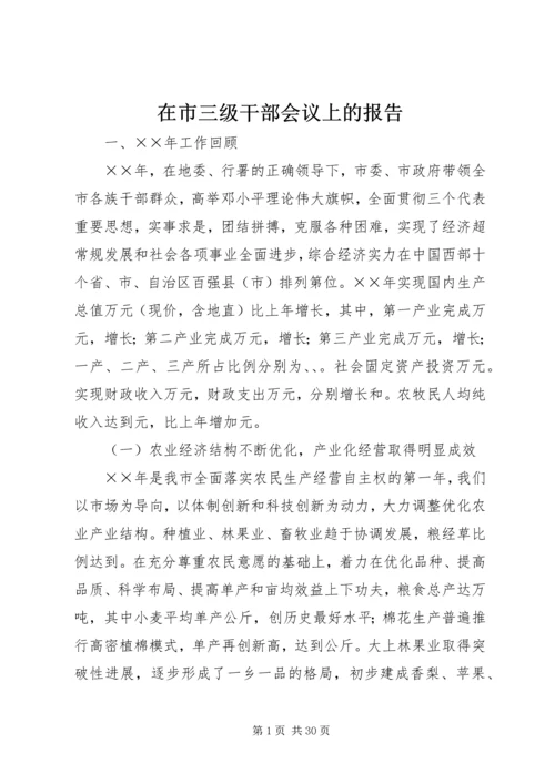 在市三级干部会议上的报告 (2).docx