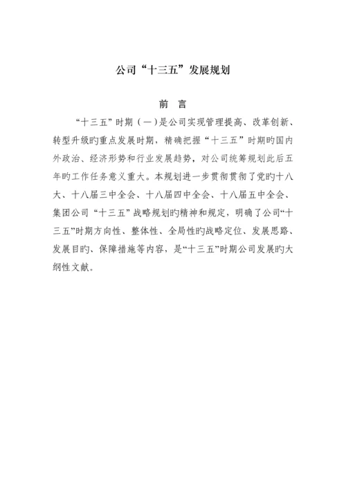 公司十三五发展重点规划.docx