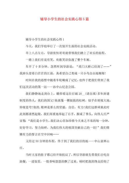 辅导小学生的社会实践心得5篇.docx