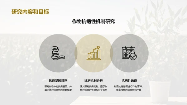 农业科研新篇章