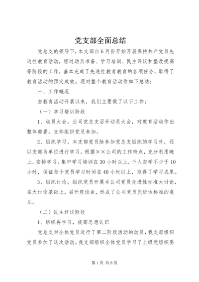 党支部全面总结.docx