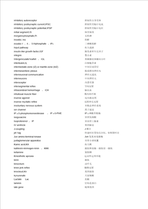 神经科学中英文词汇