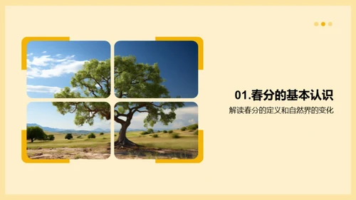 春分的奥秘与乐趣