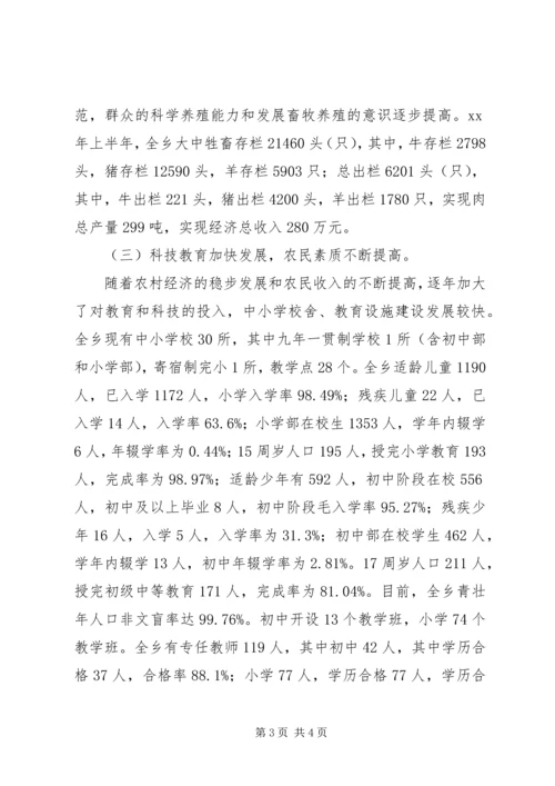 乡镇社会主义新农村建设情况调研报告.docx