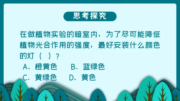 光合作用的原理和应用通用PPT模板