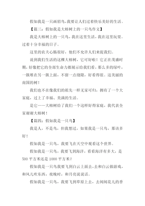 假如我是一只鸟作文200字.docx