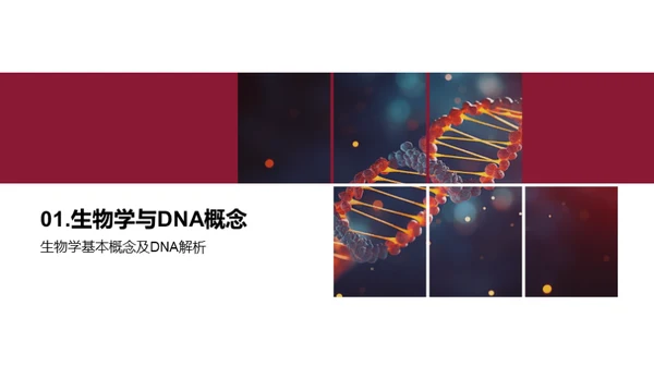 生物学之DNA探秘