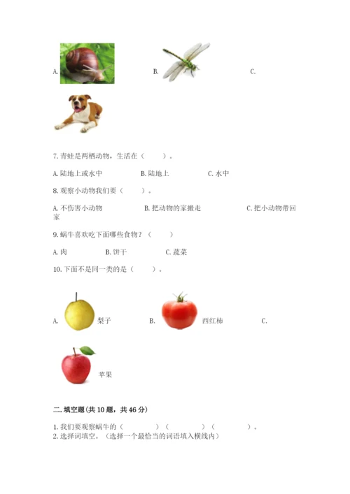 教科版一年级下册科学期末测试卷带精品答案.docx