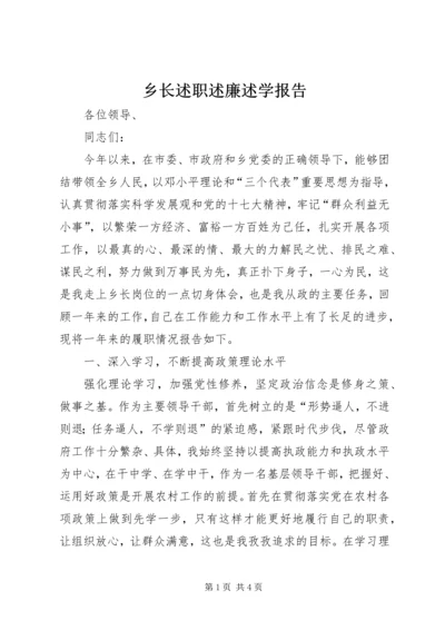 乡长述职述廉述学报告.docx