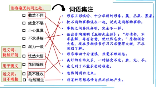 七上语文期中期末复习2_3词语运用每课晨读 课件(共47张PPT)