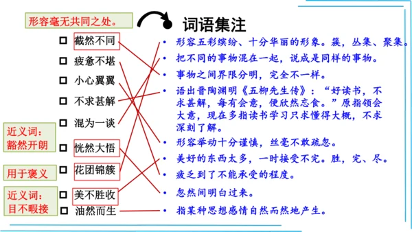 七上语文期中期末复习2_3词语运用每课晨读 课件(共47张PPT)