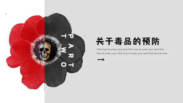 青少年禁毒宣传安全教育通用PPT模板