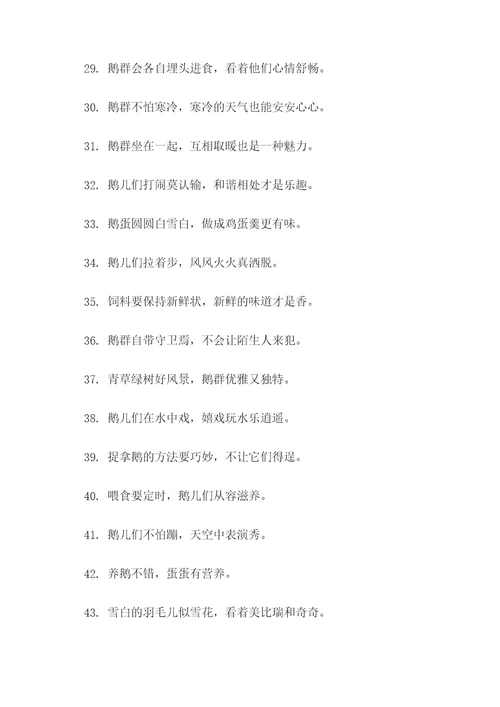 养鹅100句顺口溜