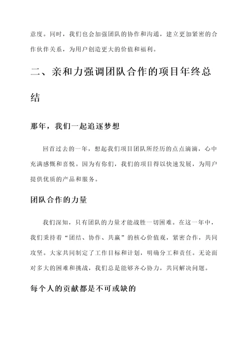 项目汇报的年终总结