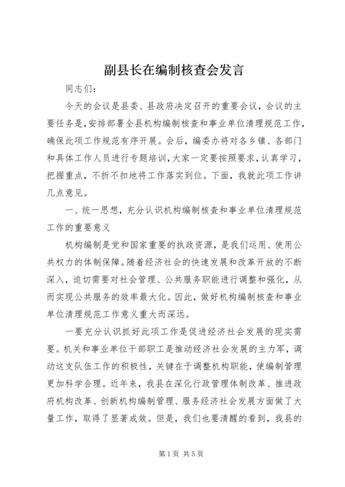 副县长在编制核查会发言.docx