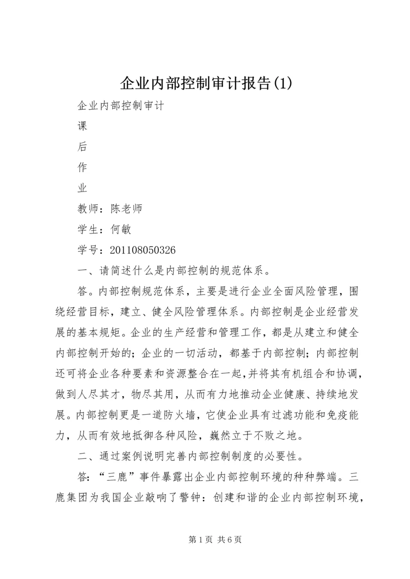 企业内部控制审计报告(1).docx