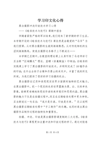 学习印文化心得 (4).docx