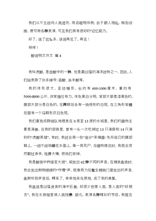 鲸说明文作文合集五篇