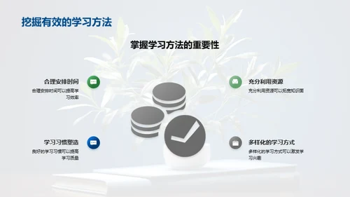 六年级：挑战与成长