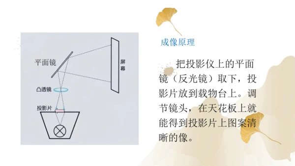 5.2生活中的透镜（课件）(共21张PPT) -2023-2024学年八年级物理上册同步精品课堂（人