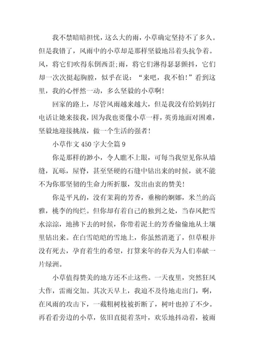 2024年小草作文450字大全