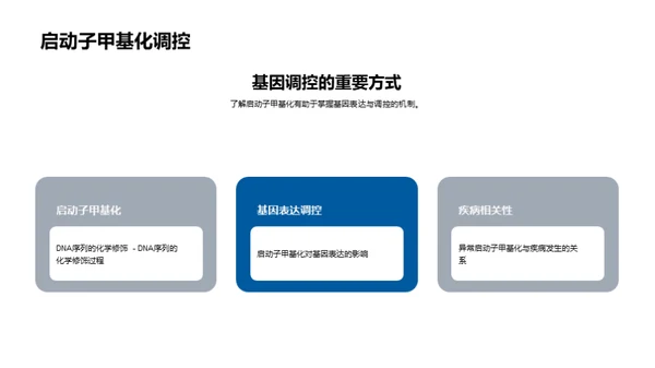 商务风生物医疗教学课件PPT模板