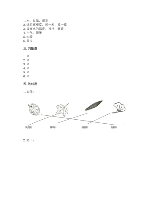 教科版科学一年级上册第一单元《植物》测试卷（突破训练）word版.docx