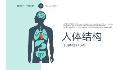 简约医疗医学人体结构动态PPT