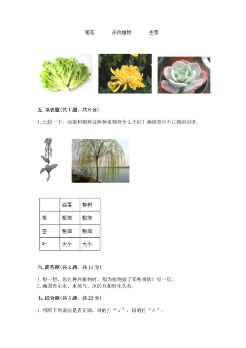 教科版科学一年级上册第一单元《植物》测试卷及完整答案（夺冠系列）.docx