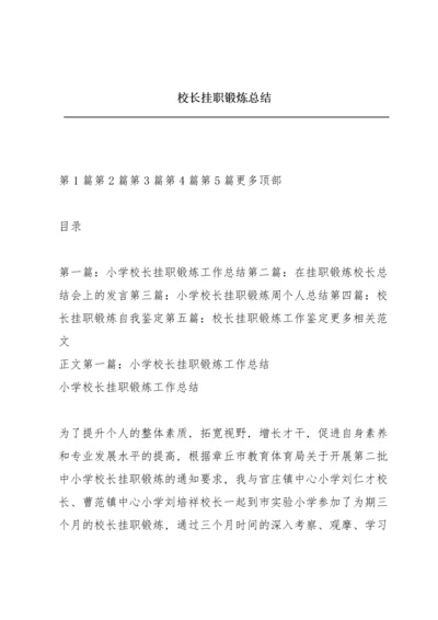 校长挂职锻炼总结.docx