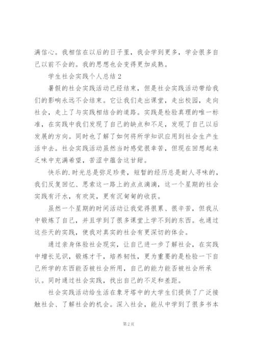 学生社会实践个人总结5篇.docx