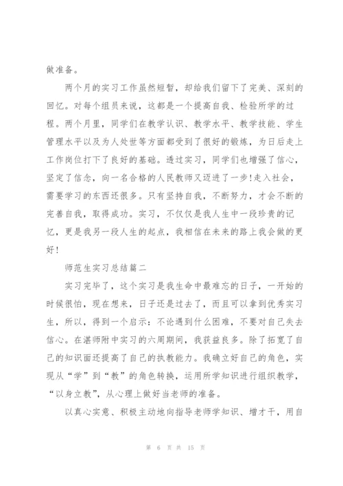 师范生实习总结5篇.docx