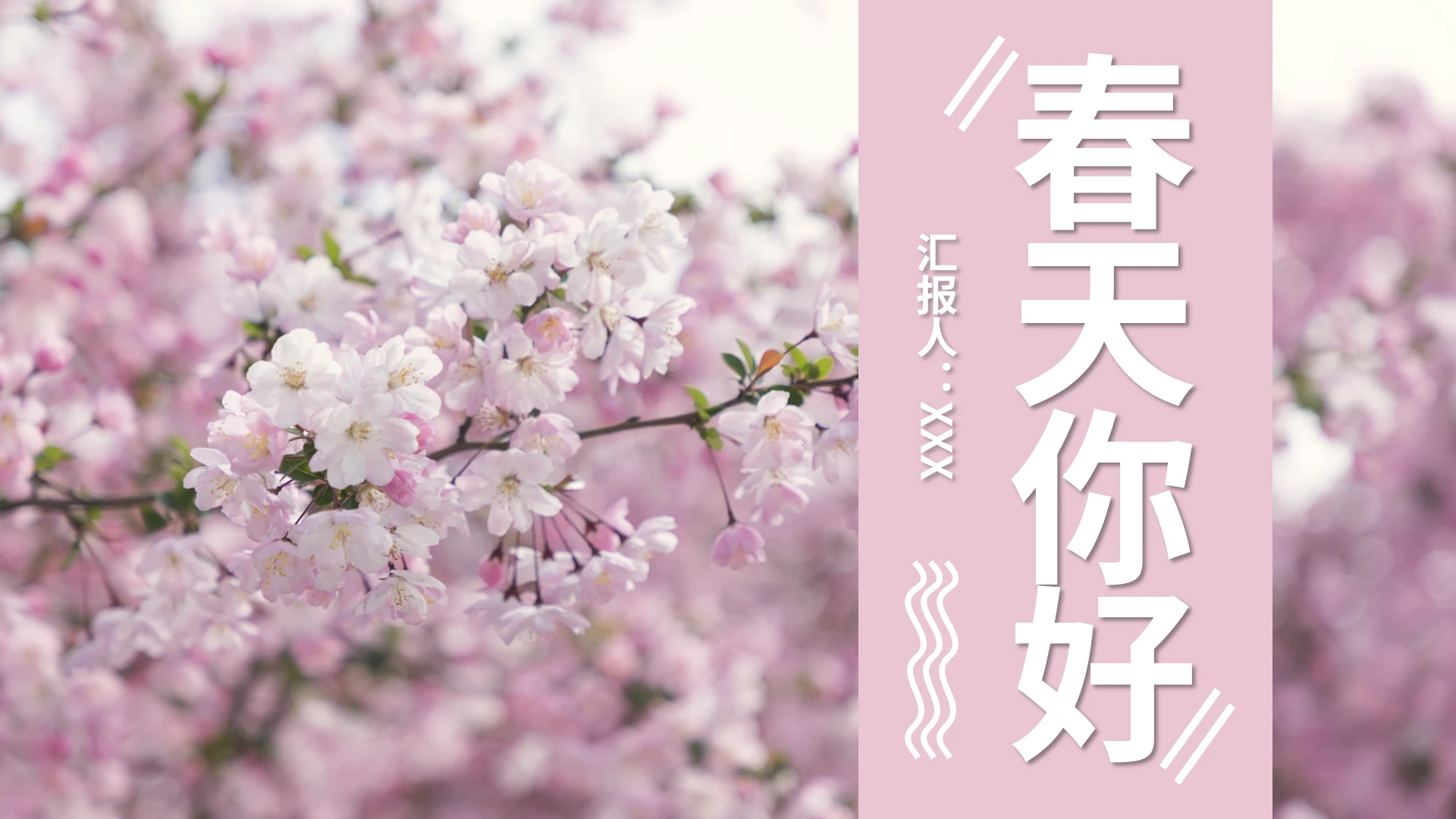 粉色小清新春天你好PPT背景PPT模板宣传PPT动态PPT