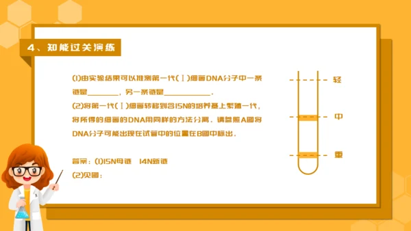 人教版生物课《DNA的复制》通用PPT课件