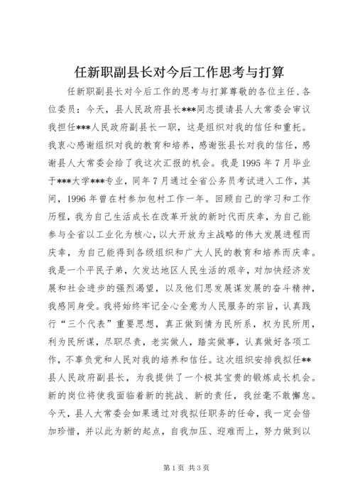 任新职副县长对今后工作思考与打算.docx