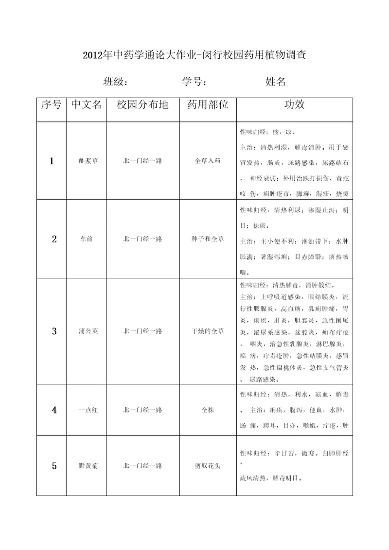 中药学通论大作业完成版