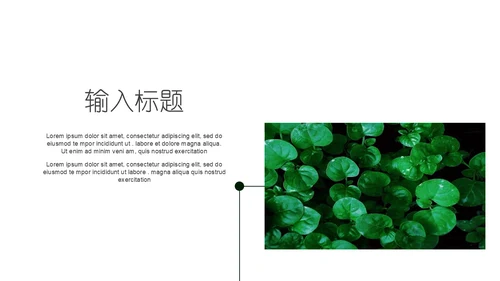 绿色叶子一叶一菩提通用PPT模板
