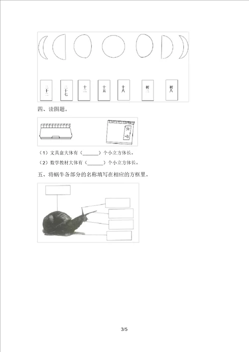 最新教科版一年级科学上册期末考试附答案