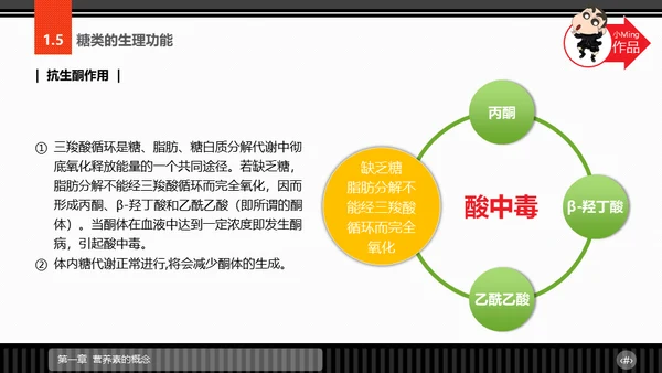 运动营养学通用PPT模板