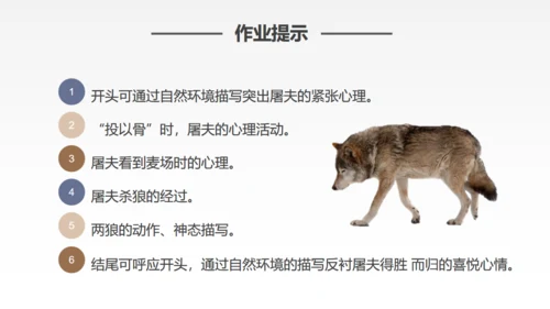蒲松龄《狼》语文教学通用PPT教学课件