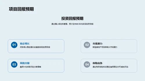 新房产项目：投资策略与潜力