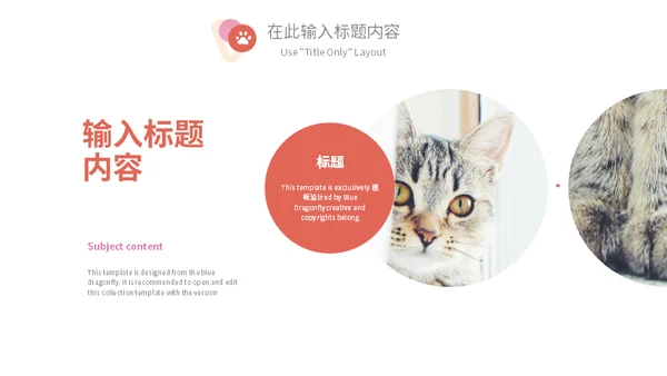 宠物乐园萌宠猫咪主题通用PPT模板
