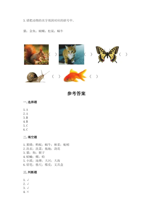 教科版一年级下册科学期末测试卷附参考答案【典型题】.docx