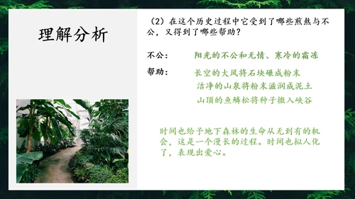地下森林作家张抗抗作品解读PPT课件