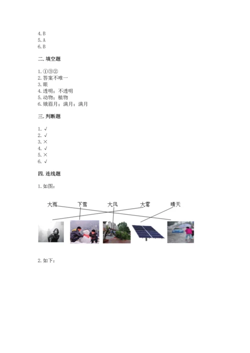 教科版科学二年级上册《期末测试卷》（名师系列）.docx