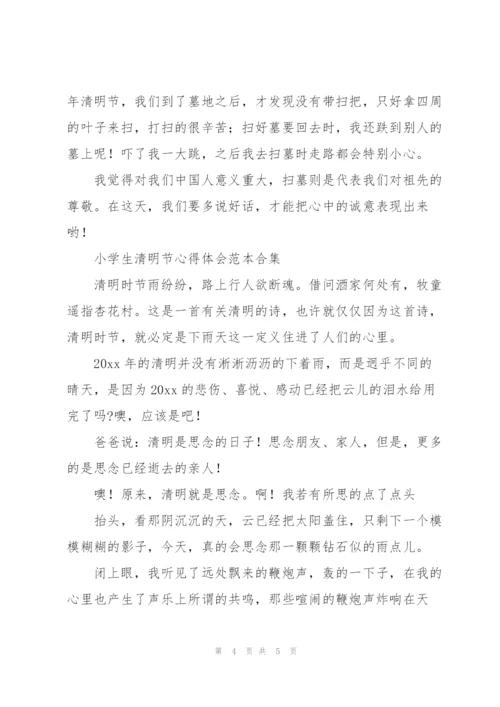 小学生清明节心得体会范本合集.docx