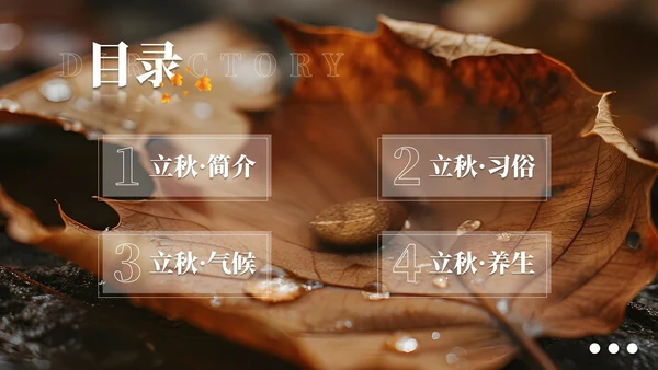 棕色简约商务立秋科普教学课件PPT模板