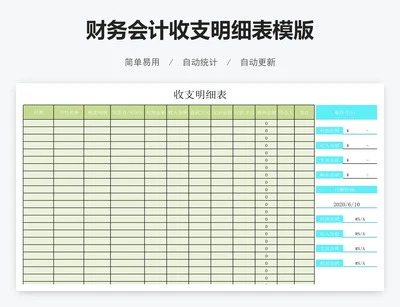 财务会计收支明细表模版