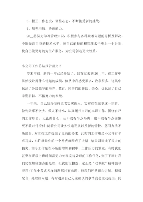 小公司工作总结报告范文.docx