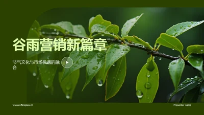 谷雨营销新篇章